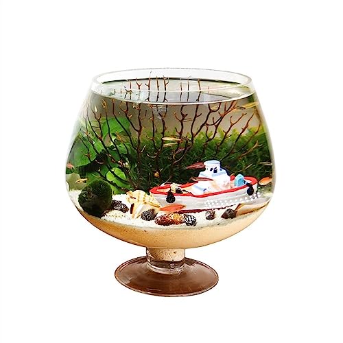 Aquarium Aquarium Kelchförmiges Aquarium Aquarium Desktop Ökologische Flasche Kleines Aquarium Aquarium Klarglas Wasser for Haustiere Desktop-Aquarium (Size : M) von AOKLEY