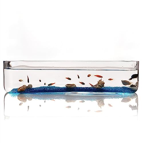 Aquarium Aquarium Kleines Glas Rechteckiges Aquarium Aquarium Ökologisches Aquarium Transparentes Glas Wohnzimmer Büro Desktop Aquarium Dekoration Desktop-Aquarium (Size : M) von AOKLEY