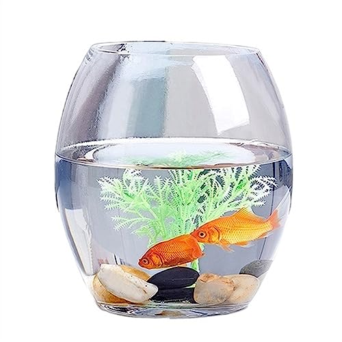 Aquarium Aquarium Kleines verdicktes transparentes Aquarium Glasschildkrötenbecken Ovales Aquarium Home Office Desktop-Tank Mehrzweck Desktop-Aquarium (Size : L) von AOKLEY