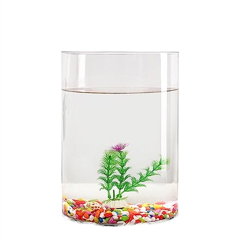 Aquarium Goldfischbecken, transparentes Glas, Aquarium, kleine ökologische Box, zylindrisches großes Schildkrötenbecken, Zubehörbecken Desktop-Aquarium (Size : 001) von AOKLEY