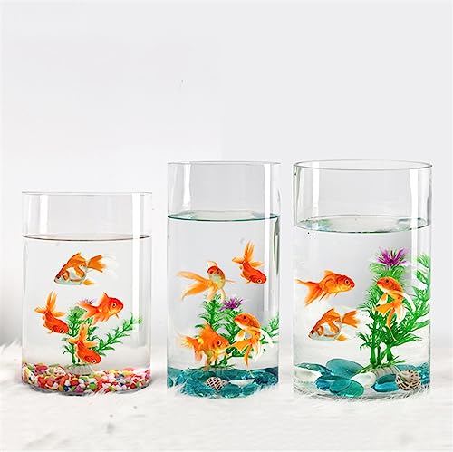 Aquarium Goldfischbecken, transparentes Glas, Aquarium, kleine ökologische Box, zylindrisches großes Schildkrötenbecken, Zubehörbecken Desktop-Aquarium (Size : 004) von AOKLEY
