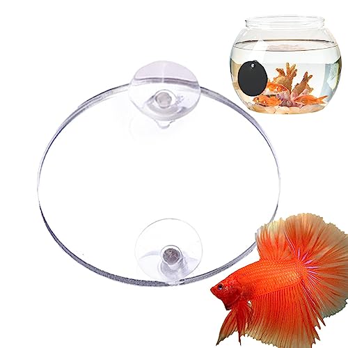 Aquariumspiegel,Schwimmender doppelseitiger Fishbowl-Spiegel | Aquarium-Themenornamente für Aquarien. Zuhause, Büro, Wohnzimmer, Aquarien, Hotel Aokley von AOKLEY