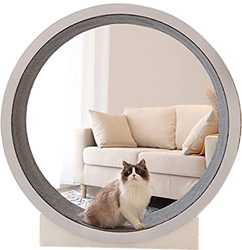 Katze Laufband,leises Laufband,Haustier Katze Kletterrahmen,Laufband Riesenrad Haustier Möbel Katze Kratzbrett,Laufendes Spinning Spielzeug für Haustier Indoor Übung Katze Laufband,leises Laufband,Haustier Katze Kletterrahmen,Laufband Riesenrad Haustier Möbel Katze Kratzbrett,Laufendes Spinning Spielzeug für Haustier Indoor Übung von AOKLEY