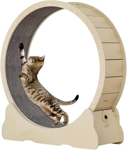 Katzenlaufrad,geräuschloses Laufband für Katzen mit Bremse,Katzenlaufrad mit Teppichboden,niedliche Katzenmöbel, Haustierspielzeug,Katzenspielzeug,Katzensportgerät,Beige-L von AOKLEY