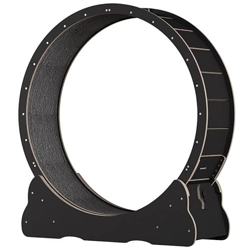 Katzenlaufrad,geräuschloses Laufband für Katzen mit Bremse,Katzenlaufrad mit Teppichboden,niedliche Katzenmöbel, Haustierspielzeug,Katzenspielzeug,Katzensportgerät,Black-L Katzenlaufrad,geräuschloses Laufband für Katzen mit Bremse,Katzenlaufrad mit Teppichboden,niedliche Katzenmöbel, Haustierspielzeug,Katzenspielzeug,Katzensportgerät,Black-L von AOKLEY