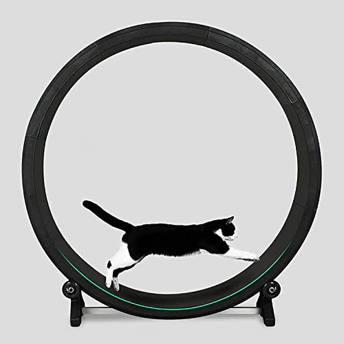 Laufband für Haustiere,Haustier-Katzen-Klettergerüst Mit Eva-Landebahn-Patch,Haustier-Rotations-Fitnessspielzeug,Katzen-Übungs-Laufrad Für Katzen,Indoor-Übungen von AOKLEY