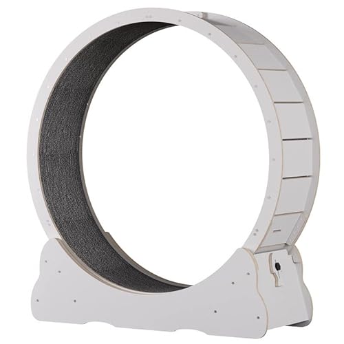 Laufrad FüR Katzen,Katze Laufband Große Katze Kletterrahmen,geräuschloses Laufband für Katzen,Tretmühle Katze Spielzeug Runde Großes Rad Haustier Laufen,Cat Sportspielzeug,Ivory-M Laufrad FüR Katzen,Katze Laufband Große Katze Kletterrahmen,geräuschloses Laufband für Katzen,Tretmühle Katze Spielzeug Runde Großes Rad Haustier Laufen,Cat Sportspielzeug,Ivory-M von AOKLEY