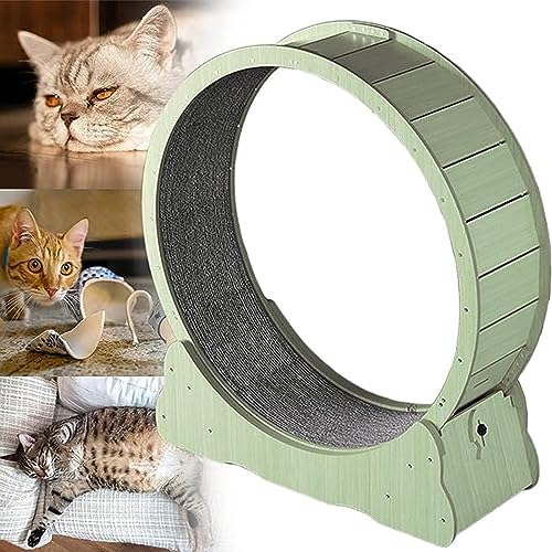 Laufrad Für Katzen,Geeignet Für Katzen-Fitness-Laufband Für Katzenspielzeug Für Alle Dinge,Laufrad für Katzen Im Innenbereich für Kleine,Die Sich Drehen,Kratzen,Klettern,Green-L von AOKLEY