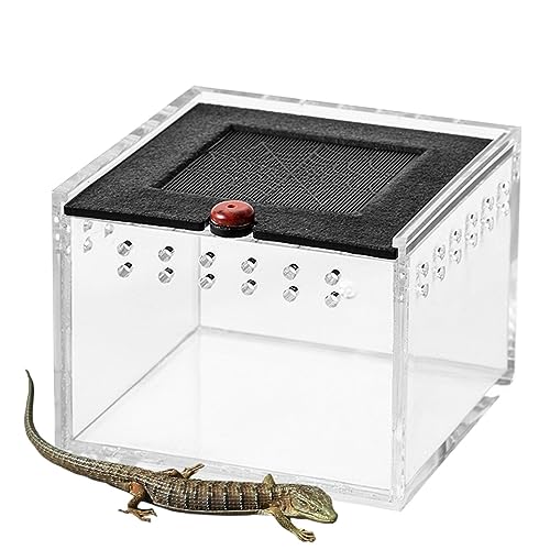 Reptilien-Box-Hülle,Lebensraum für Schildkröten | Einsiedlerkrebsbecken, Eidechsenkäfig, Reptilienterrarium, Reptiliengehege, Reptilienfütterungsbox aus Acryl Aokley von AOKLEY