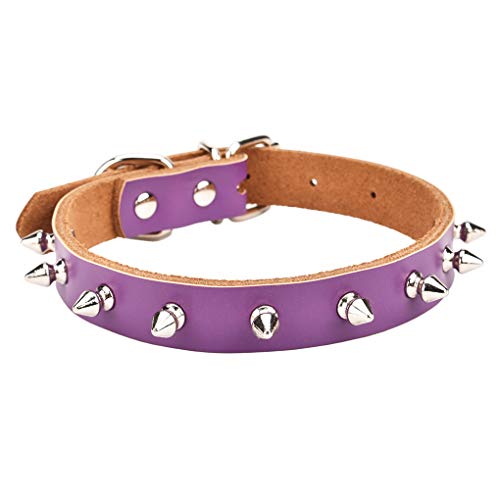 AOLOVE schlichtes, klassisches Halsband für Katzen, Welpen, Hunde, verstellbar, aus echtem Rindsleder, Small / Neck 7.8"-10.2", Purple-Spiked Rivet von AOLOVE
