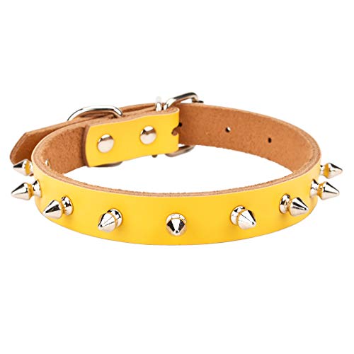 AOLOVE schlichtes, klassisches Halsband für Katzen, Welpen, Hunde, verstellbar, aus echtem Rindsleder, Small / Neck 7.8"-10.2", Yellow-Spiked Rivet von AOLOVE