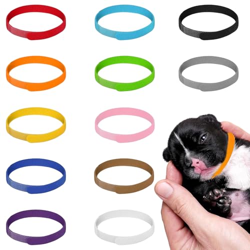12 Stück Welpenhalsband,Kitten Halsbänder,Welpenhalsbänder Für Züchter,Halsband Katze,Welpen Halsband, Id Halsbänder Mehrfarbiges Nylon,Einstellbar, Weich, Mehrfarbig, Für Welpen Kitten Haustie 12 Stück Welpenhalsband,Kitten Halsbänder,Welpenhalsbänder Für Züchter,Halsband Katze,Welpen Halsband, Id Halsbänder Mehrfarbiges Nylon,Einstellbar, Weich, Mehrfarbig, Für Welpen Kitten Haustie von AONAYO