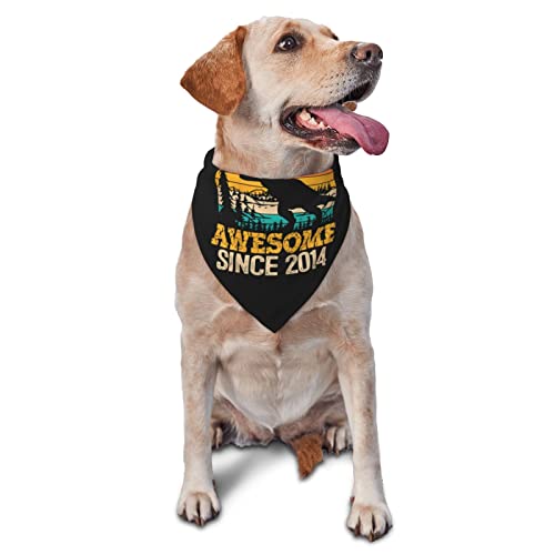 8. Geburtstag Dinosaurier 8 Jahre Alter Junge Awesome Since 2014 Sommer-Hundehalstücher für Jungen, großes Welpen-Kopftuch, verstellbare, weiche Dreieckslätzchen, Zubehör für kleine, mittelgroße und 8. Geburtstag Dinosaurier 8 Jahre Alter Junge Awesome Since 2014 Sommer-Hundehalstücher für Jungen, großes Welpen-Kopftuch, verstellbare, weiche Dreieckslätzchen, Zubehör für kleine, mittelgroße und von AOOEDM
