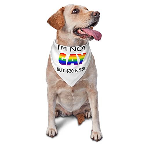 Frühlings-Hundehalstuch „I'm Not Gay But 20 is 20 für Jungen, große Welpen-Kopftücher, verstellbare weiche Dreiecks-Lätzchen, Zubehör für kleine, mittelgroße und große Hunde und Katzen, weiß Frühlings-Hundehalstuch „I'm Not Gay But 20 is 20 für Jungen, große Welpen-Kopftücher, verstellbare weiche Dreiecks-Lätzchen, Zubehör für kleine, mittelgroße und große Hunde und Katzen, weiß von AOOEDM
