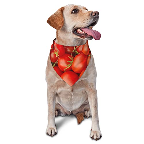 Frühlings-Hundehalstuch mit Tomatenmuster, für Jungen, große Welpen, Kopftuch, verstellbar, weich, dreieckig, Lätzchen, Zubehör für kleine, mittelgroße und große Hunde, Katzen, Weiß Frühlings-Hundehalstuch mit Tomatenmuster, für Jungen, große Welpen, Kopftuch, verstellbar, weich, dreieckig, Lätzchen, Zubehör für kleine, mittelgroße und große Hunde, Katzen, Weiß von AOOEDM