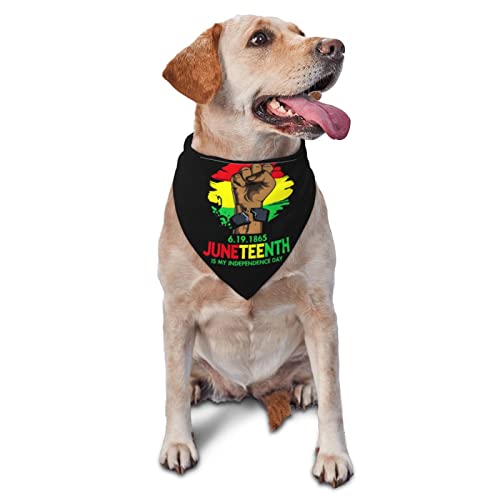 Juneteenth Hunde-Bandanas zum Unabhängigkeitstag, Haustier-Schal, dreieckiges Lätzchen, Katzen, verstellbares Kopftuch, Zubehör für kleine, mittelgroße und große Welpen von AOOEDM