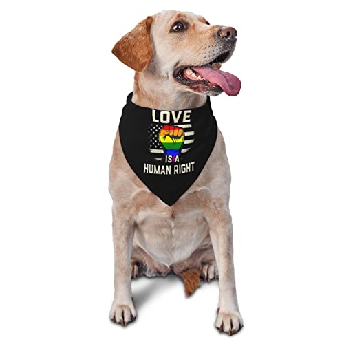 LGBTQ Gay Pride Rainbow Pride Month Lesben Bisexuell Frühling Hundehalstücher Junge Groß Welpen Kopftuch Verstellbare weiche Dreieckslätzchen Zubehör für kleine, mittelgroße und große Hunde Katzen We von AOOEDM