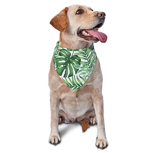 Rainforest Green Palm Leaves Frühlings-Hundehalstuch für Jungen, großes Welpen-Kopftuch, verstellbares, weiches Dreiecks-Lätzchen, Zubehör für kleine, mittelgroße und große Hunde und Katzen, weiß von AOOEDM