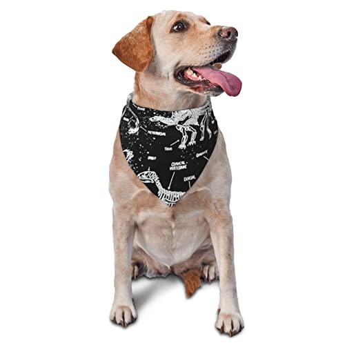 Schwarz-weißes Dinosaurier-Skelett-Muster, Hunde-Bandanas, Haustier-Schal, Dreiecks-Lätzchen, Katzen, verstellbares Kopftuch, Zubehör für kleine, mittelgroße und große Welpen von AOOEDM