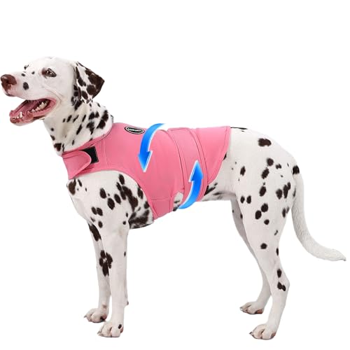AOOLMOL Hunde-Angstweste und -hemd, hautfreundlich, beruhigendes Hemd, Donnerjacke für Tierarztbesuche, Hundejacke für Donner, Feuerwerk, Anti-Angstweste für Haustier ohne Medizin und Training AOOLMOL Hunde-Angstweste und -hemd, hautfreundlich, beruhigendes Hemd, Donnerjacke für Tierarztbesuche, Hundejacke für Donner, Feuerwerk, Anti-Angstweste für Haustier ohne Medizin und Training von AOOLMOL