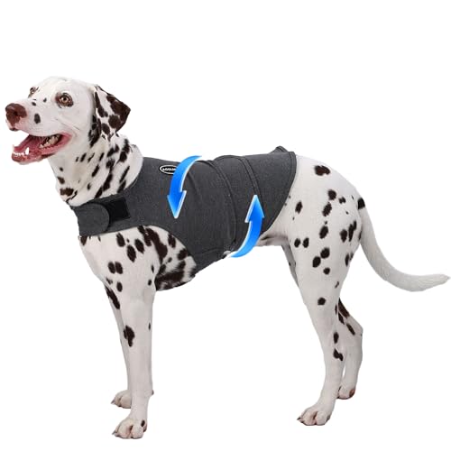 AOOLMOL Hunde-Angstweste und -hemd, hautfreundlich, beruhigendes Hemd, Donnerjacke für Tierarztbesuche, Hundejacke für Donner, Feuerwerk, Anti-Angstweste für Haustier ohne Medizin und Training AOOLMOL Hunde-Angstweste und -hemd, hautfreundlich, beruhigendes Hemd, Donnerjacke für Tierarztbesuche, Hundejacke für Donner, Feuerwerk, Anti-Angstweste für Haustier ohne Medizin und Training von AOOLMOL