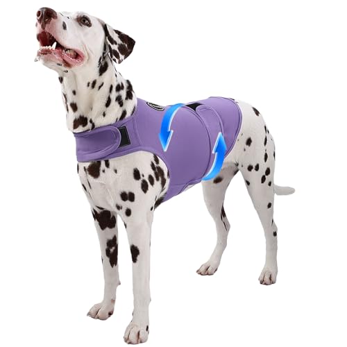 AOOLMOL Hunde-Angstweste und -hemd, hautfreundlich, beruhigendes Hemd, Donnerjacke für Tierarztbesuche, Hundejacke für Donner, Feuerwerk, Anti-Angstweste für Haustier ohne Medizin und Training AOOLMOL Hunde-Angstweste und -hemd, hautfreundlich, beruhigendes Hemd, Donnerjacke für Tierarztbesuche, Hundejacke für Donner, Feuerwerk, Anti-Angstweste für Haustier ohne Medizin und Training von AOOLMOL