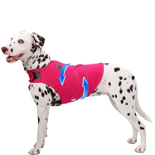 AOOLMOL Hunde-Angstweste und -hemd, hautfreundlich, beruhigendes Hemd, Donnerjacke für Tierarztbesuche, Hundejacke für Donner, Feuerwerk, Anti-Angstweste für Haustier ohne Medizin und Training AOOLMOL Hunde-Angstweste und -hemd, hautfreundlich, beruhigendes Hemd, Donnerjacke für Tierarztbesuche, Hundejacke für Donner, Feuerwerk, Anti-Angstweste für Haustier ohne Medizin und Training von AOOLMOL