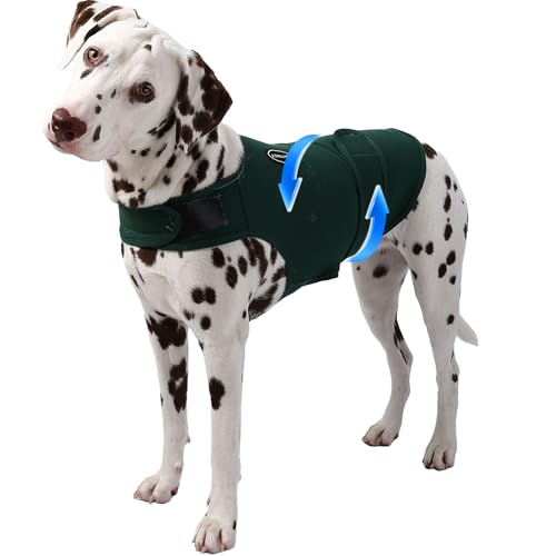 AOOLMOL Hunde-Angstweste und -hemd, hautfreundlich, beruhigendes Hemd, Donnerjacke für Tierarztbesuche, Hundejacke für Donner, Feuerwerk, Anti-Angstweste für Haustier ohne Medizin und Training AOOLMOL Hunde-Angstweste und -hemd, hautfreundlich, beruhigendes Hemd, Donnerjacke für Tierarztbesuche, Hundejacke für Donner, Feuerwerk, Anti-Angstweste für Haustier ohne Medizin und Training von AOOLMOL