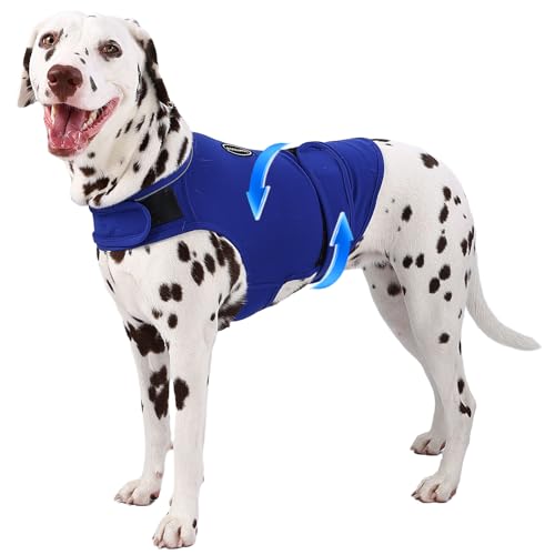AOOLMOL Hunde-Angstweste und -hemd, hautfreundlich, beruhigendes Hemd, Donnerjacke für Tierarztbesuche, Hundejacke für Donner, Feuerwerk, Anti-Angstweste für Haustier ohne Medizin und Training AOOLMOL Hunde-Angstweste und -hemd, hautfreundlich, beruhigendes Hemd, Donnerjacke für Tierarztbesuche, Hundejacke für Donner, Feuerwerk, Anti-Angstweste für Haustier ohne Medizin und Training von AOOLMOL
