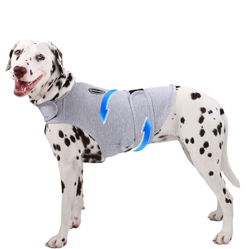 AOOLMOL Hunde-Angstweste und -hemd, hautfreundlich, beruhigendes Hemd, Donnerjacke für Tierarztbesuche, Hundejacke für Donner, Feuerwerk, Anti-Angstweste für Haustier ohne Medizin und Training AOOLMOL Hunde-Angstweste und -hemd, hautfreundlich, beruhigendes Hemd, Donnerjacke für Tierarztbesuche, Hundejacke für Donner, Feuerwerk, Anti-Angstweste für Haustier ohne Medizin und Training von AOOLMOL
