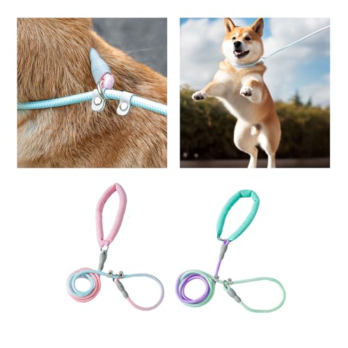 AOOOWER 150/200/250 cm Hundetraktionsseil Flexible Hunde Leine Für Die Leine Mit Stimmungsstufen Farbe Outdoor Walking Pet Hals von AOOOWER