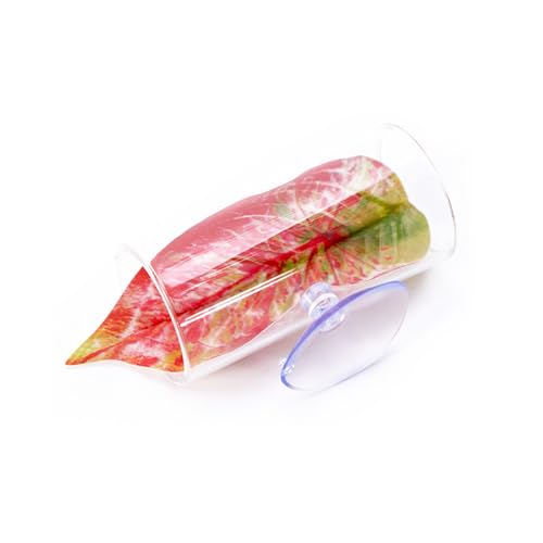 AOOOWER Aquarium-Dekoration, Pflanzenornamente, bunte Wasserpflanzen, Aquarien, Landschaftsbau, bunte künstliche Blätter AOOOWER Aquarium-Dekoration, Pflanzenornamente, bunte Wasserpflanzen, Aquarien, Landschaftsbau, bunte künstliche Blätter von AOOOWER