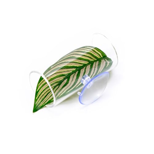 AOOOWER Aquarium-Dekoration, Pflanzenornamente, bunte Wasserpflanzen, Aquarien, Landschaftsbau, bunte künstliche Blätter AOOOWER Aquarium-Dekoration, Pflanzenornamente, bunte Wasserpflanzen, Aquarien, Landschaftsbau, bunte künstliche Blätter von AOOOWER