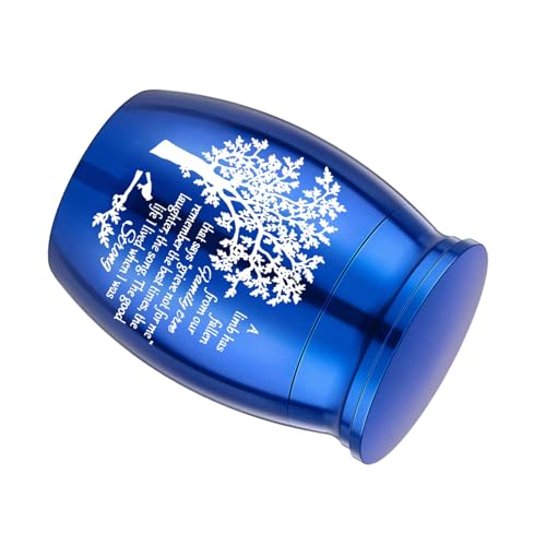 AOOOWER Einfache Asche, Urne, Gedenkschmuck, Einäscherungsbox, Metallglas, Einäscherungsschmuck, Urne für Asche AOOOWER Einfache Asche, Urne, Gedenkschmuck, Einäscherungsbox, Metallglas, Einäscherungsschmuck, Urne für Asche von AOOOWER