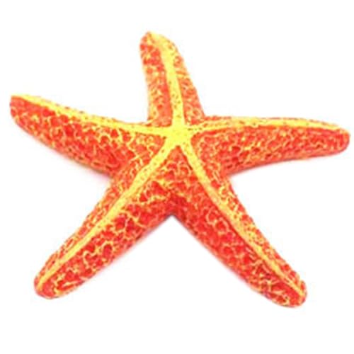 AOOOWER Harze Aquarien Ornamente Aquarien Landschaft Harze Aquarien Dekoration für verschiedene Umgebungen AOOOWER Harze Aquarien Ornamente Aquarien Landschaft Harze Aquarien Dekoration für verschiedene Umgebungen von AOOOWER