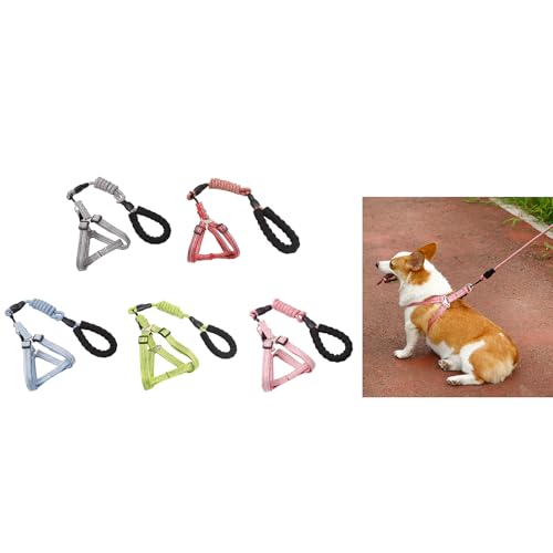 AOOOWER Hunde Leine Schlupfgürtel Leinegurt von AOOOWER