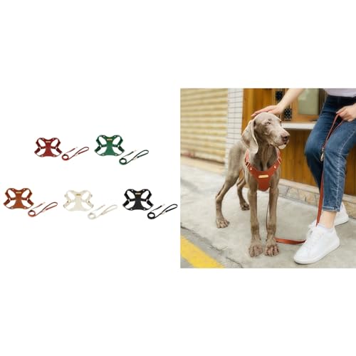 AOOOWER Hunde Training Kabelbaum & Leine Walking Haustier Brust Training Schnellveröffentlichung Einfache Kontroll Hunde Leine Und Set Escape Proof Katze Für Kleine Rassen AOOOWER Hunde Training Kabelbaum & Leine Walking Haustier Brust Training Schnellveröffentlichung Einfache Kontroll Hunde Leine Und Set Escape Proof Katze Für Kleine Rassen von AOOOWER