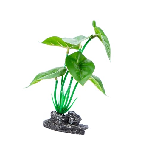 AOOOWER Künstliche Pflanze mit Sockel, Aquarium, Ornament, leicht zu reinigen, Pflege für verschiedene Größen AOOOWER Künstliche Pflanze mit Sockel, Aquarium, Ornament, leicht zu reinigen, Pflege für verschiedene Größen von AOOOWER