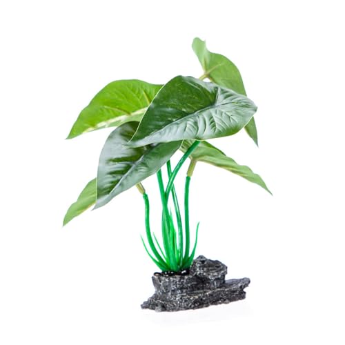 AOOOWER Künstliche Pflanze mit Sockel, Aquarium, Ornament, leicht zu reinigen, Pflege für verschiedene Größen AOOOWER Künstliche Pflanze mit Sockel, Aquarium, Ornament, leicht zu reinigen, Pflege für verschiedene Größen von AOOOWER