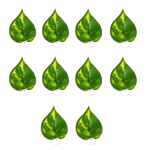 AOOOWER Künstliche Wasserpflanze für Aquarien, Terrarium, Aquarium, Ornamente, Dekoration, Pflanze zum Dekorieren von Aquarien AOOOWER Künstliche Wasserpflanze für Aquarien, Terrarium, Aquarium, Ornamente, Dekoration, Pflanze zum Dekorieren von Aquarien von AOOOWER