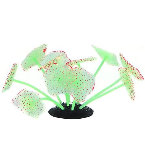 AOOOWER Künstliche Wasserpflanze für Aquarien, Terrarium, Aquarium, Ornamente, Dekoration, Pflanze zum Dekorieren von Aquarien AOOOWER Künstliche Wasserpflanze für Aquarien, Terrarium, Aquarium, Ornamente, Dekoration, Pflanze zum Dekorieren von Aquarien von AOOOWER