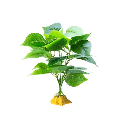 AOOOWER Reptilien Habitats Dekoration Einsiedler Lebensraum Pflanze Realistische Terrarien Pflanze für Reptilien Terrarien AOOOWER Reptilien Habitats Dekoration Einsiedler Lebensraum Pflanze Realistische Terrarien Pflanze für Reptilien Terrarien von AOOOWER