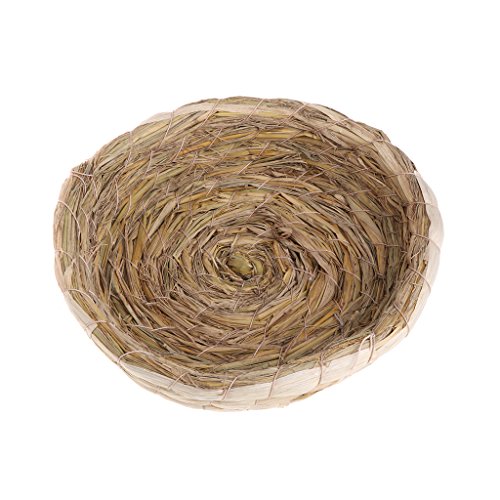AOOOWER Stroh Gewebter Bettkäfig Handgefertigt Für Kleine Tiere Natürliche Bettwäsche Nest Kauspielzeug Für Meerschweinchen Papageien Kaninchen Hamster von AOOOWER