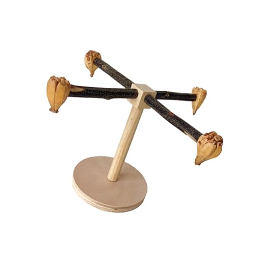 Drehbare Sitzstange für Vögel, Holzständer, Sitzstange, Papageien, Schleifen, Kratzer, Tischspielzeug, Schleifen, Kratzer, Sitzstange Drehbare Sitzstange für Vögel, Holzständer, Sitzstange, Papageien, Schleifen, Kratzer, Tischspielzeug, Schleifen, Kratzer, Sitzstange von AOOOWER