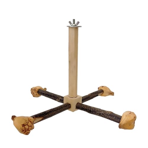 Käfigspielzeug für Vögel, Sitzstange, Holzständer, drehbar, Kratzstange, Backenzähne Kauspielzeug für Papageien, Sittiche, Spielzeug, Vogel Käfigspielzeug für Vögel, Sitzstange, Holzständer, drehbar, Kratzstange, Backenzähne Kauspielzeug für Papageien, Sittiche, Spielzeug, Vogel von AOOOWER