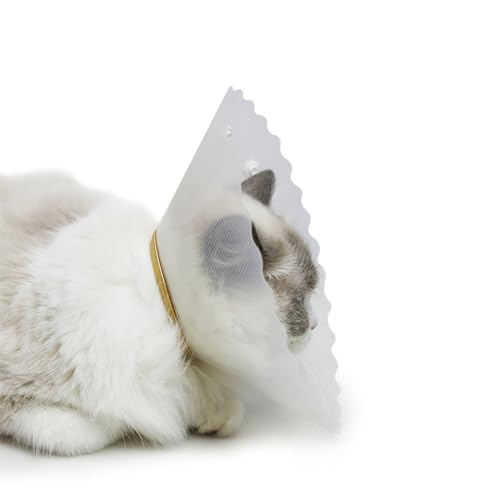 Sanftes und vielseitiges Genesungs-Kegelhalsband für kleine Hunde, Welpen und Katzen, die eine bequeme Erholung und schnelle Heilung benötigen, Anti-Leck-Halsband für Hunde, Anti-Leck-Halsband für von AOOOWER