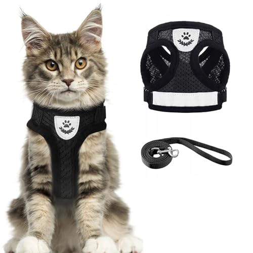 Katzengeschirr und Leine, Hundegeschirr und Leine, Katzen-Leinen-Set zum Spazierengehen, ausbruchsicher, verstellbar/leicht/weich, für kleine Hunde, Spaziergänge und Reisen (M, Schwarz) von AOOTUERL
