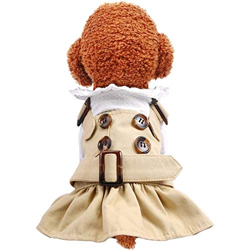 AOSUAI Spirng Sommer Hundebekleidung schöner Trenchcoat Kleid Haustiere Outfits warme Kleidung für kleine Hunde Kostüme Jacke Welpenhemd Hunde bequem (Farbe: Kleid, Größe: L) von AOSUAI