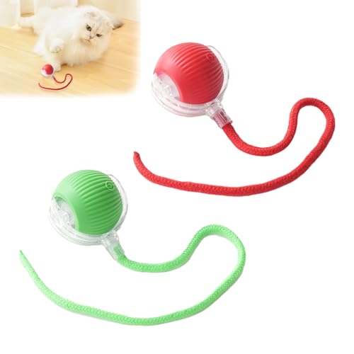 2 Pcs Katzenball Elektrisch Katzenspielzeug Ball Elektrisch Katzenspielzeug Interaktiv Interaktives Katzenspielzeug Interaktiver Spielball FüR Katzen Interaktiver Ball FüR Hunde Mit 2 Ersatzschwanz von AOUZOVLI