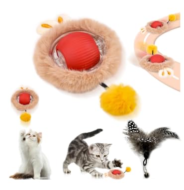 AOUZOVLI Magic Ball Hund,Rot Katzenball Elektrisch mit Schnur,Interaktiver Spielball für Katzen,mit USB-Aufladung,DREI Arbeitsmodi,360°-Drehung,für Katzen und Hunde,mit 3 Ersatzkopf für Katzenangel von AOUZOVLI